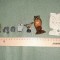 FIGURINE MINIATURA - bufnite, statuete, statui, miniaturi, bufnite decorative