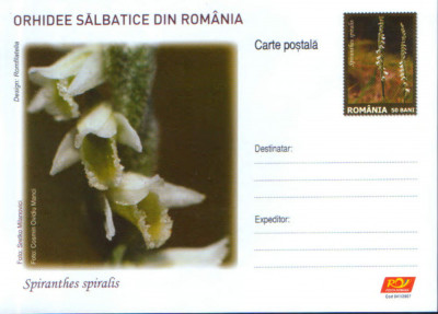 Intreg postal CP nec.2007 - Flori - orhidee salbatice - Spiranthes Spiralis foto