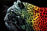 Cumpara ieftin Covor Model Leopard Negru 11016-180, Marime 80 x 150 cm, Multicolor, Inaltime Fir 9 mm, Antialergic, Polipropilena, Living, Dormitor, Sufragerie, Biro