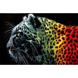 Covor Model Leopard Negru 11016-180, Marime 80 x 150 cm, Multicolor, Inaltime Fir 9 mm, Antialergic, Polipropilena, Living, Dormitor, Sufragerie, Biro