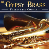 Gypsy Brass | Fanfara Din Cozmesti