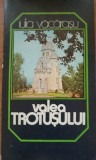 Valea Trotusului - Iulia Vacarasu