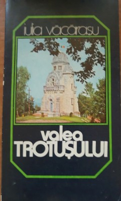 Valea Trotusului - Iulia Vacarasu foto
