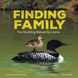 Finding Family: The Duckling Raised by Loons, 2019