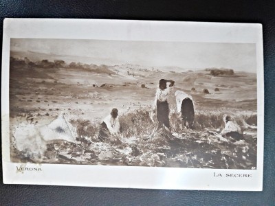 Carte postala, La secerat, Verona, inceput de secol XX foto