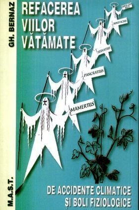 Refacerea viilor vătămate de accidente climatice și boli fiziologice