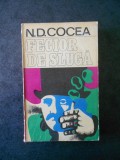 N. D. COCEA - FECIOR DE SLUGA