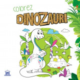 Colorez dinozauri - carte de colorat - Paperback brosat - *** - Didactica Publishing House