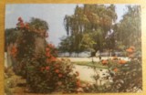 QW23 B - Carte postala - tematica turism - vedere - Romania - Bucuresti 147, Circulata, Fotografie