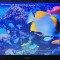 MONITOR LCD ACER MODEL G206HQL DE 20 INCHI . FUNCTIONEAZA . SE VINDE DOAR CU ALIMENTATORUL !