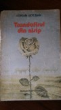Trandafirul din nisip A. Bocsan 1988