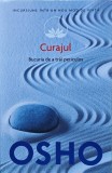 Cumpara ieftin Curajul: bucuria de a trăi periculos - 2014 - Osho (@M127)