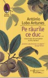 Antonio Lobo Antunes - Pe raurile ce duc...