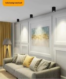 Spot LED Aplicat 18W Negru 4000k D12CM