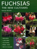 Fuchsias | George Bartlett