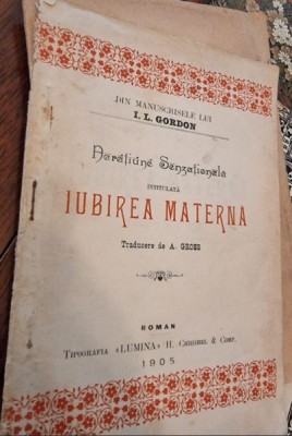 I. L. Gordon - Iubirea Materna foto