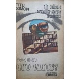 DIN CULISELE SERVICIILOR SECRETE ROMANESTI. PACEAPA: QUO VADIS?-TITU SIMON-224373