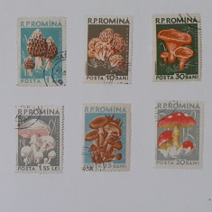 ROMANIA 1958 LP 457 - Ciuperci Comestibile - Complet STAMPILAT (VEZI DESCRIEREA)