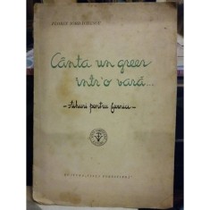 CANTA UN GREER INTR-O VARA ... . STIHURI PENTRU FURNICI de FLORIN IORDACHESCU