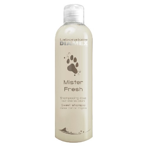 Diamex Sampon Mister Fresh - 250 ml