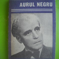 HOPCT AURUL NEGRU/CEZAR PETRESCU -EDIT EMINESCU 1988 -523 PAGINI