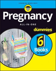 Pregnancy All-In-One for Dummies foto
