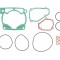 Set garnituri motor Top End Beta RR 250 300 14- 21 ATHENA P400060600011