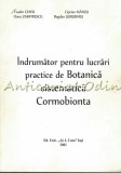 Cumpara ieftin Indrumtor Lucrari Practice De Botanica Sistematica. Cormobionta - T. Chifu