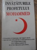Invataturile Profetului Mohammed - Antet 2002, Romana, Paperback - Carte Religioasa
