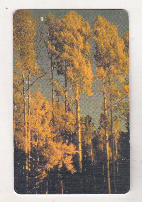 bnk card Cartela telefonica - P-38a 2000 50000 lei Toamna