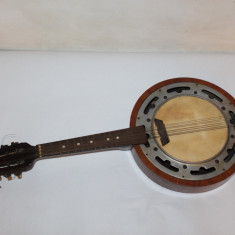 Banjo, instrument muzical