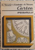 Cartea ipsosarului - C. Tsicura, I. Csedreki, A. Tsicura