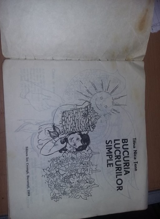 Carte veche Copii,BUCURIA LUCRURILOR SIMPLE,TITINA NICA TENE,1989,T.GRATUIT