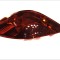 Stop spate lampa Peugeot 207 (W), 05.06-06.09 Hatchback, spate, omologare ECE, cu suport bec, 6350.Y7; 6350Y7, Stanga