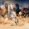 Fototapet autocolant Cai alergand in desert, 250 x 150 cm