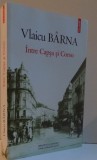 INTRE CAPSA SI CORSO , 2014