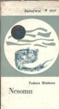 Nesomn - Tatiana Mateianu
