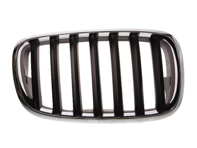 Grila radiator Bmw X5 (E70), 10.2006-04.2010, X6 (E71), 01.08-12.13, dreapta, crom/negru, 51137157688, 205105-4 foto