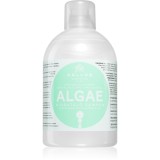 Kallos KJMN Professional Algae sampon hidratant cu extract de alge si ulei de masline 1000 ml