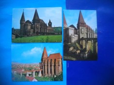 HOPCT LOT 2443 CASTELUL HUNEDOARA -JUD HUNEDOARA-3 CARTI POSTALE-CIRCULATE