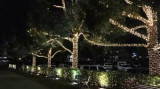 Cumpara ieftin Ghirlande Luminoase Copaci, 34 m, de Exterior/Interior, Instalatii luminoase copaci