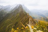 Tablou Canvas, "Culmile &icirc;nzăpezite ale verii alpine", Munți, Norii, V&acirc;rfuri, Verdeață, Flori, Perspectivă, Peisaj, Natură, Alpin, &Icirc;ntindere, 39 x 26 c