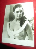 Fotografie - Actrita Elisabeth Taylor ,dim.= 17,3x23cm