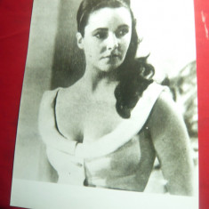 Fotografie - Actrita Elisabeth Taylor ,dim.= 17,3x23cm