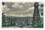 4549 - MORENI, Dambovita, Oil Wells, Romania - old postcard, real PHOTO - unused, Necirculata, Fotografie