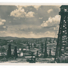 4549 - MORENI, Dambovita, Oil Wells, Romania - old postcard, real PHOTO - unused