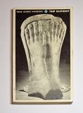 Timp răstignit &ndash; Aut. Toma George Maiorescu, Ed. Pentru Literatură, 1969