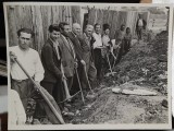 Fotografie, grup de barbati la munca voluntara obsteasca in Oltenia, condusi de tov. Dobrescu, perioada comunista