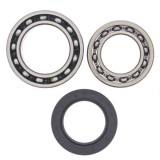 Kit rulment roata Spate (cu garnitura) pentru YAMAHA YFM 250/350 1987-1995