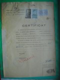 HOPCT DOCUMENT NR 556 CERTIFICAT BIROUL DE CAZIER PERCHETUL TRIBUNAL CONSTANTA 1943 / SEMNATURA STAMPILA MEDIC LEGIST
